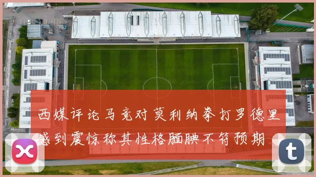 西媒评论马竞对莫利纳拳打罗德里感到震惊称其性格腼腆不符预期